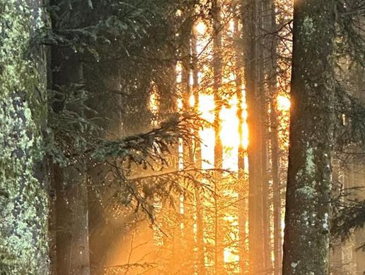 immagine di Messer GmbH Bestattungen