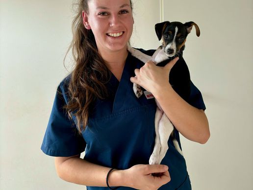 picture of Cabinet vétérinaire VETDENGES