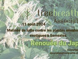 image de Treebreathe Erbetta