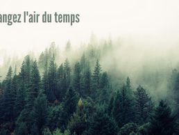 image de Treebreathe Erbetta