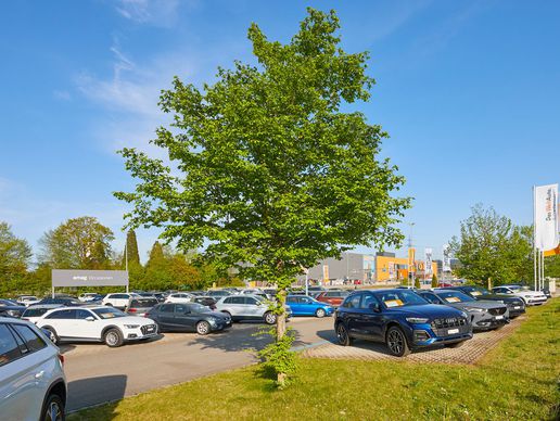 immagine di AMAG Occasions Center Oftringen