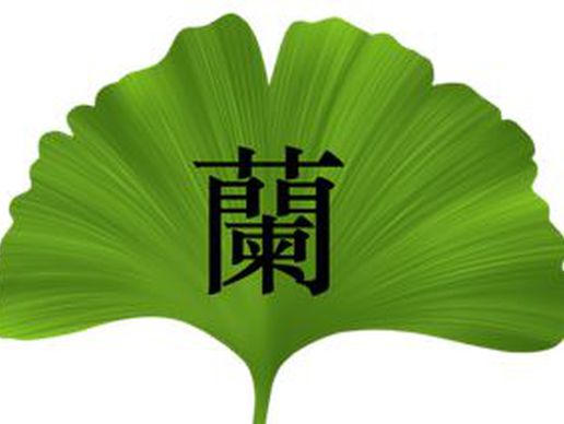 image de Lan TCM Praxis