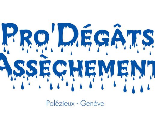 Bild zu Pro'Dégâts Assèchement Sàrl