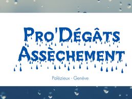 Bild zu Pro'Dégâts Assèchement Sàrl