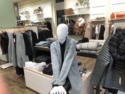 immagine di BAYARD CO LTD