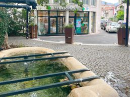 Bild zu Pharmacie de Chêne Bougeries