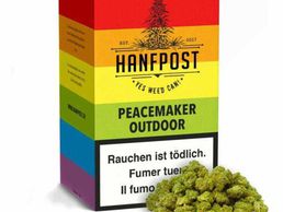 picture of Hanfpost.ch (by Wonderland Trading GmbH)