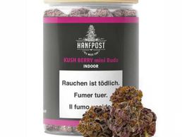 picture of Hanfpost.ch (by Wonderland Trading GmbH)