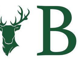 image de Bruellan SA