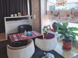 picture of Nanda Thai Massage Rothrist