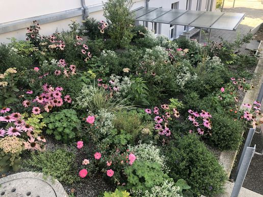 Bild zu Bauert AG Parkpflege Gartenbau