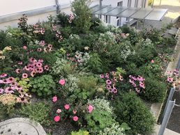 picture of Bauert AG Parkpflege Gartenbau