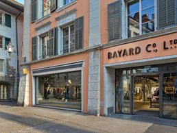 Bild zu BAYARD CO LTD