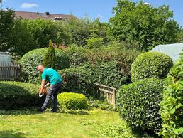 immagine di SaBe Hauswartungen & Gartenbau GmbH