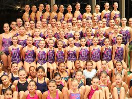 picture of Dauphins Synchro Vernier