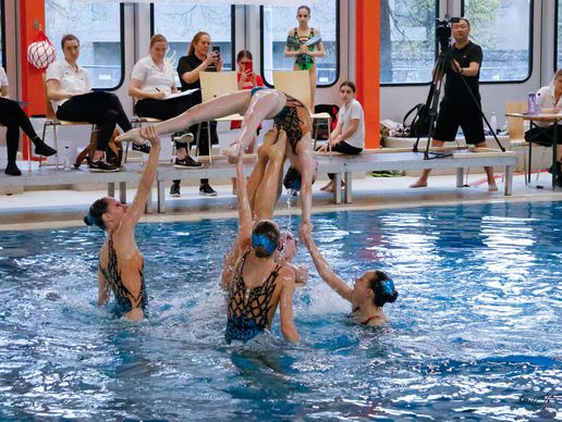 picture of Dauphins Synchro Vernier