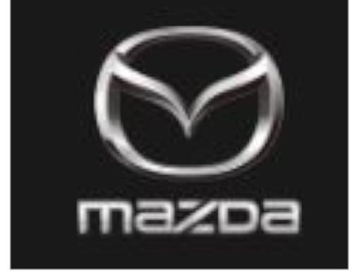 image de Flurhof Garage GmbH