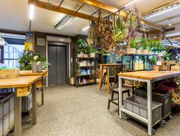 immagine di Linder Blumen am Bahnhofplatz in Aarau