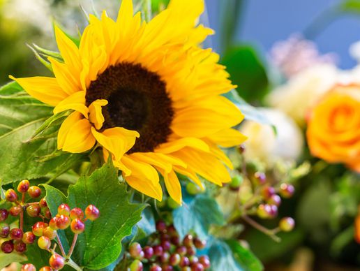 immagine di Linder Blumen am Bahnhofplatz in Aarau