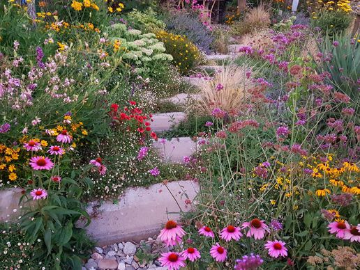 immagine di Luca Antonini Giardinieri Paesaggisti