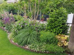 immagine di Luca Antonini Giardinieri Paesaggisti