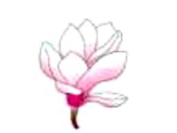 immagine di Luca Antonini Giardinieri Paesaggisti