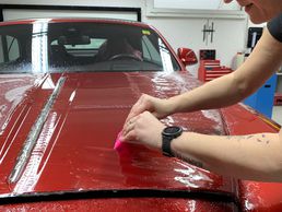 immagine di Folien Vögel