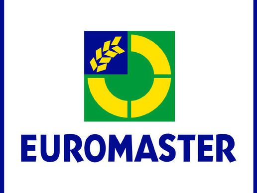 Bild zu Euromaster Foron