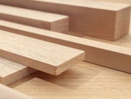 immagine di CARPENTIA SARL