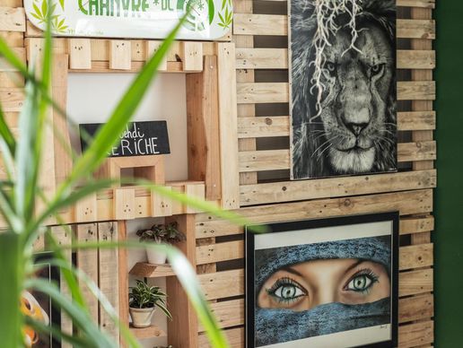 picture of Chanvre DC