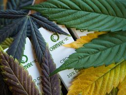 picture of Chanvre DC