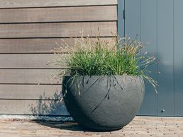 immagine di jaco manufacture