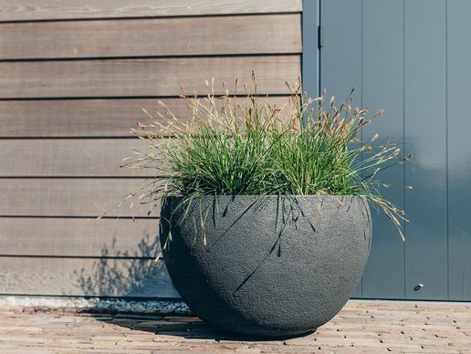 immagine di jaco manufacture