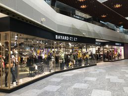 Bild zu BAYARD CO LTD