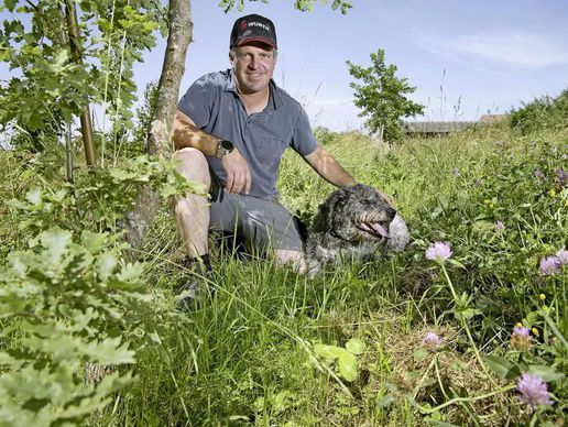 picture of La Truffe du Mont, Christophe Corbaz