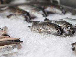 immagine di Rubigenhof Fischzucht AG