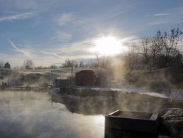 immagine di Rubigenhof Fischzucht AG