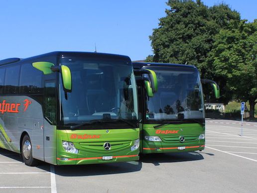 immagine di Paul Gafner Reisen GmbH