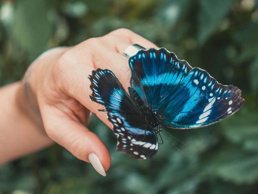 Bild zu Retour en Soi - Hypnose Ericksonienne