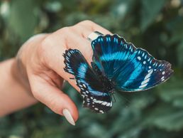 image de Retour en Soi - Hypnose Ericksonienne