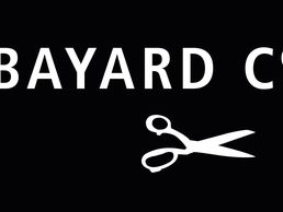 Bild zu BAYARD CO LTD