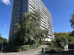 picture of DIGNEX