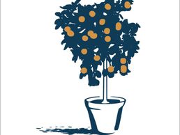 picture of Orangerie Bernapark