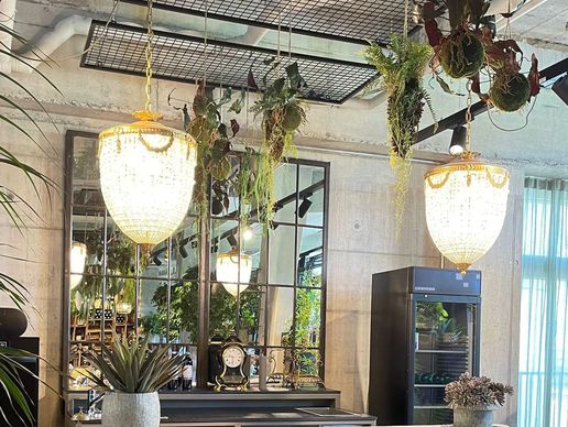 picture of Orangerie Bernapark