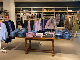 Bild zu BAYARD CO LTD