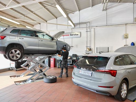 immagine di AMAG Giubiasco Škoda