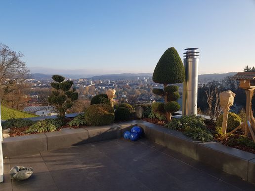 Bild zu MM Gartenpflege GmbH