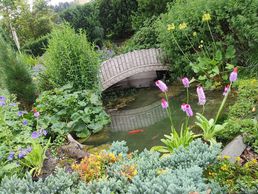 Bild zu MM Gartenpflege GmbH