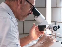 picture of BISE Expertise Bijoux