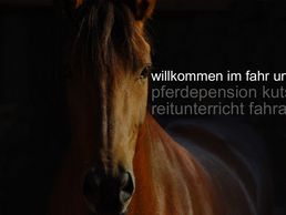 Bild zu Reitstall Bühl